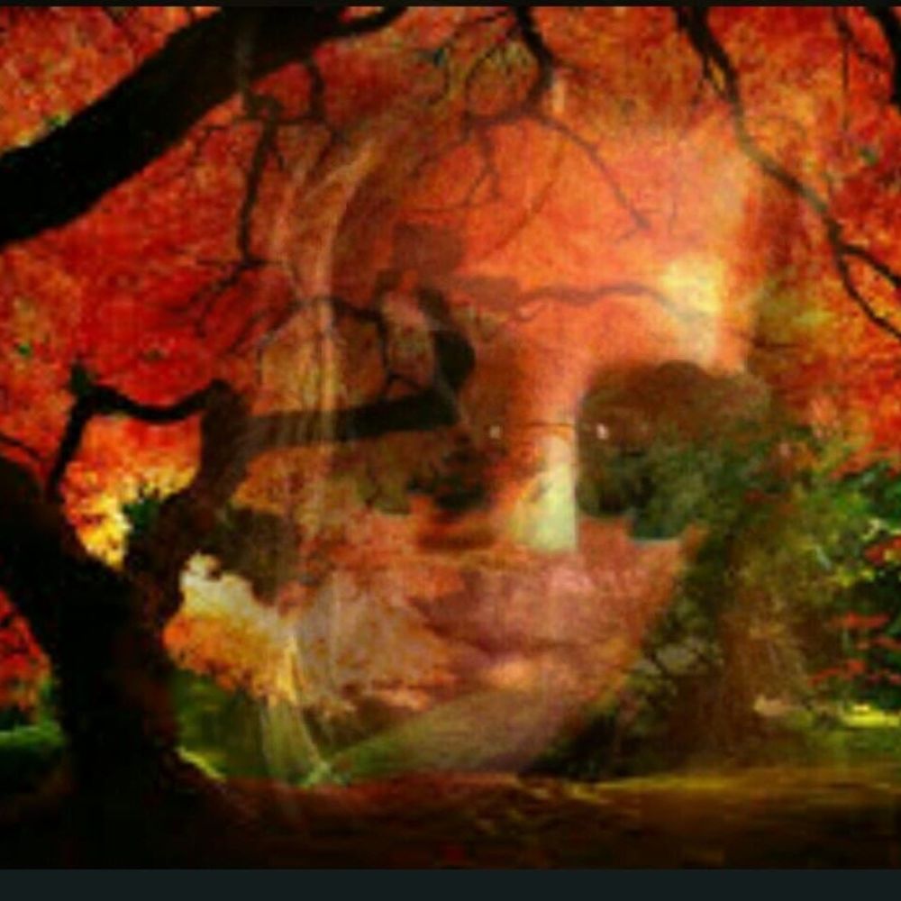 Meet your Posher, Lady